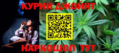 индика Будённовск