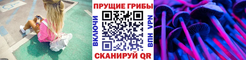 Псилоцибиновые грибы Psilocybe где продают Белебей